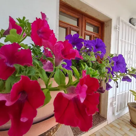 Apartment La Casa Delle Petunie - Relax House Locorotondo