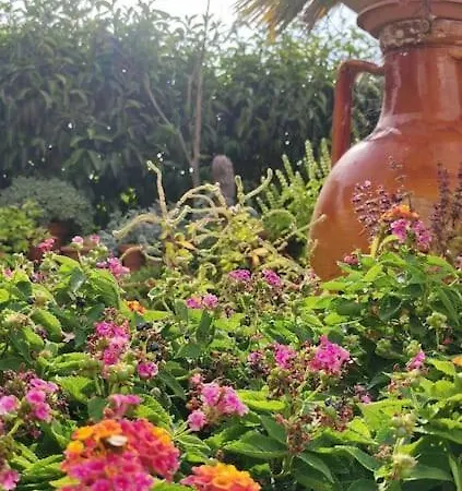 La Casa Delle Petunie - Relax House *