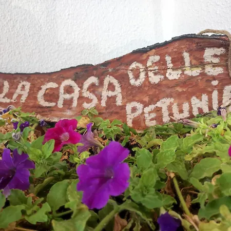 La Casa Delle Petunie - Relax House Locorotondo